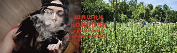 скорость Алзамай