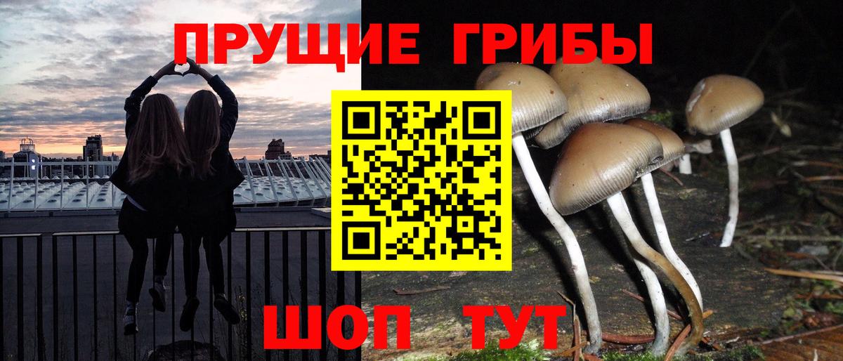 Галлюциногенные грибы MAGIC MUSHROOMS Карпинск
